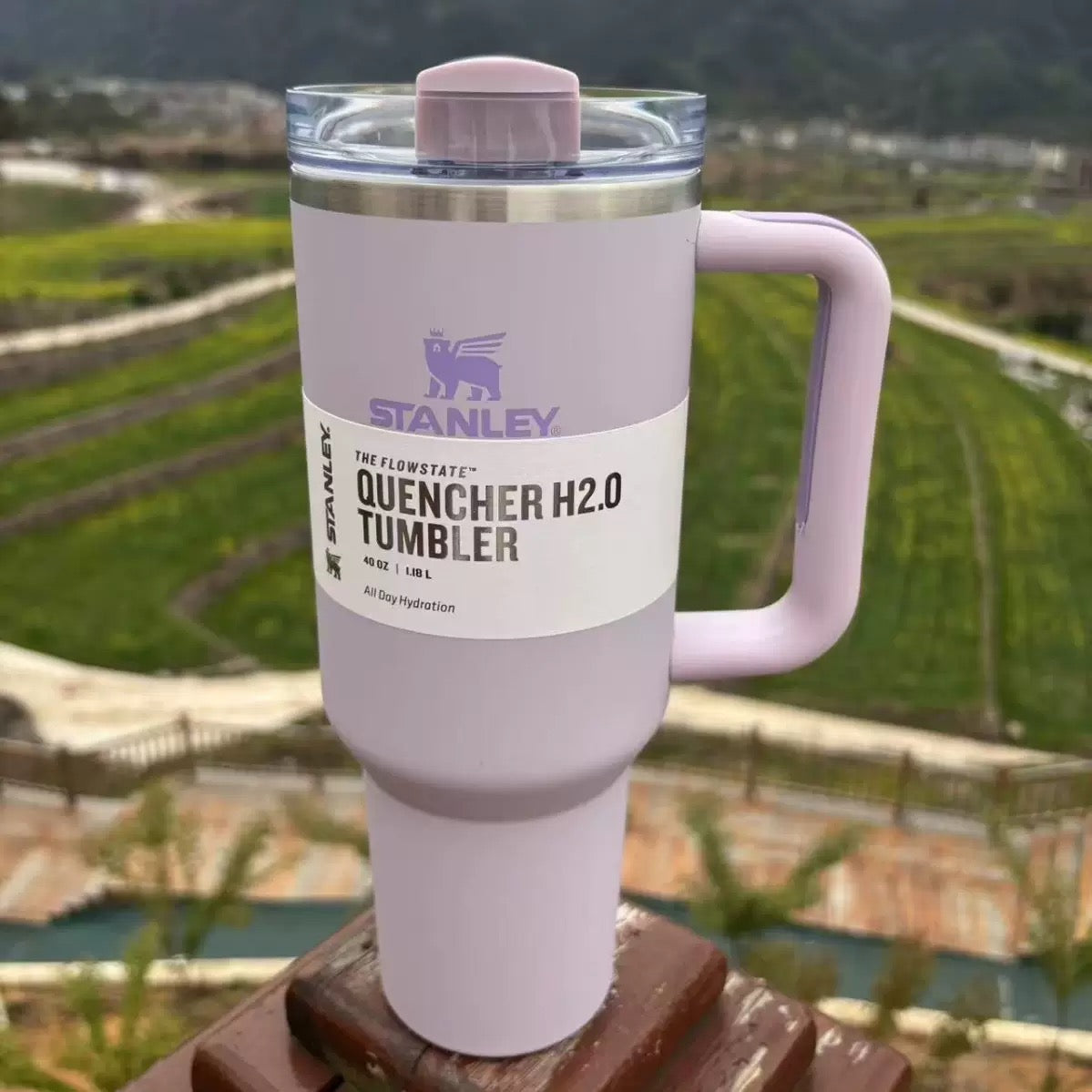 Lilac stanley
