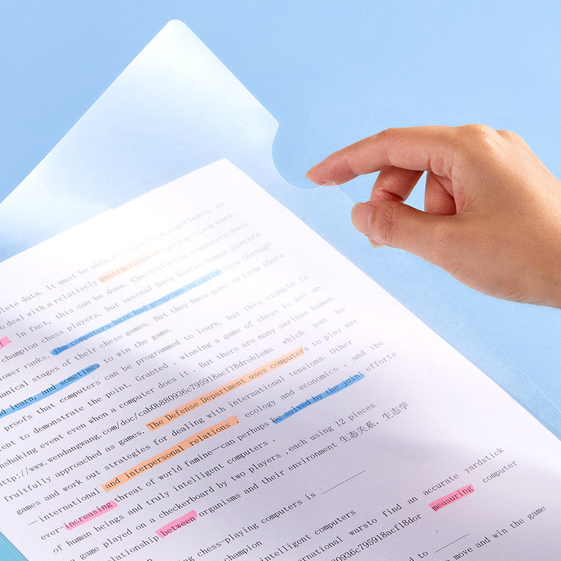 Aesthetic Paper File / Keeper